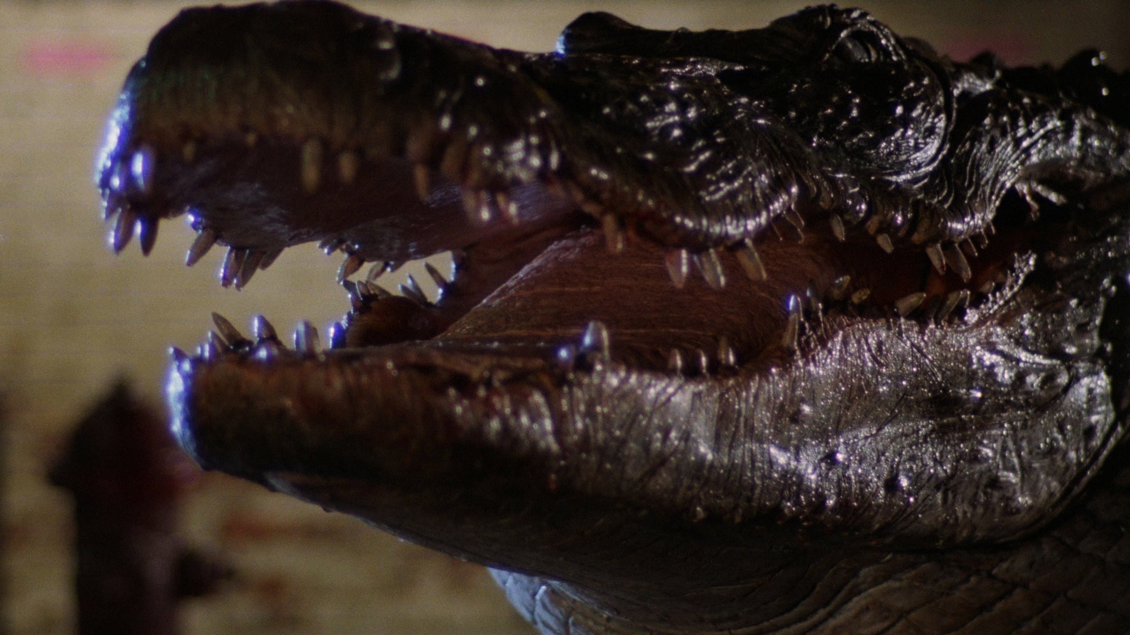 Alligator (2024) Movie Preview - Horror Reboot