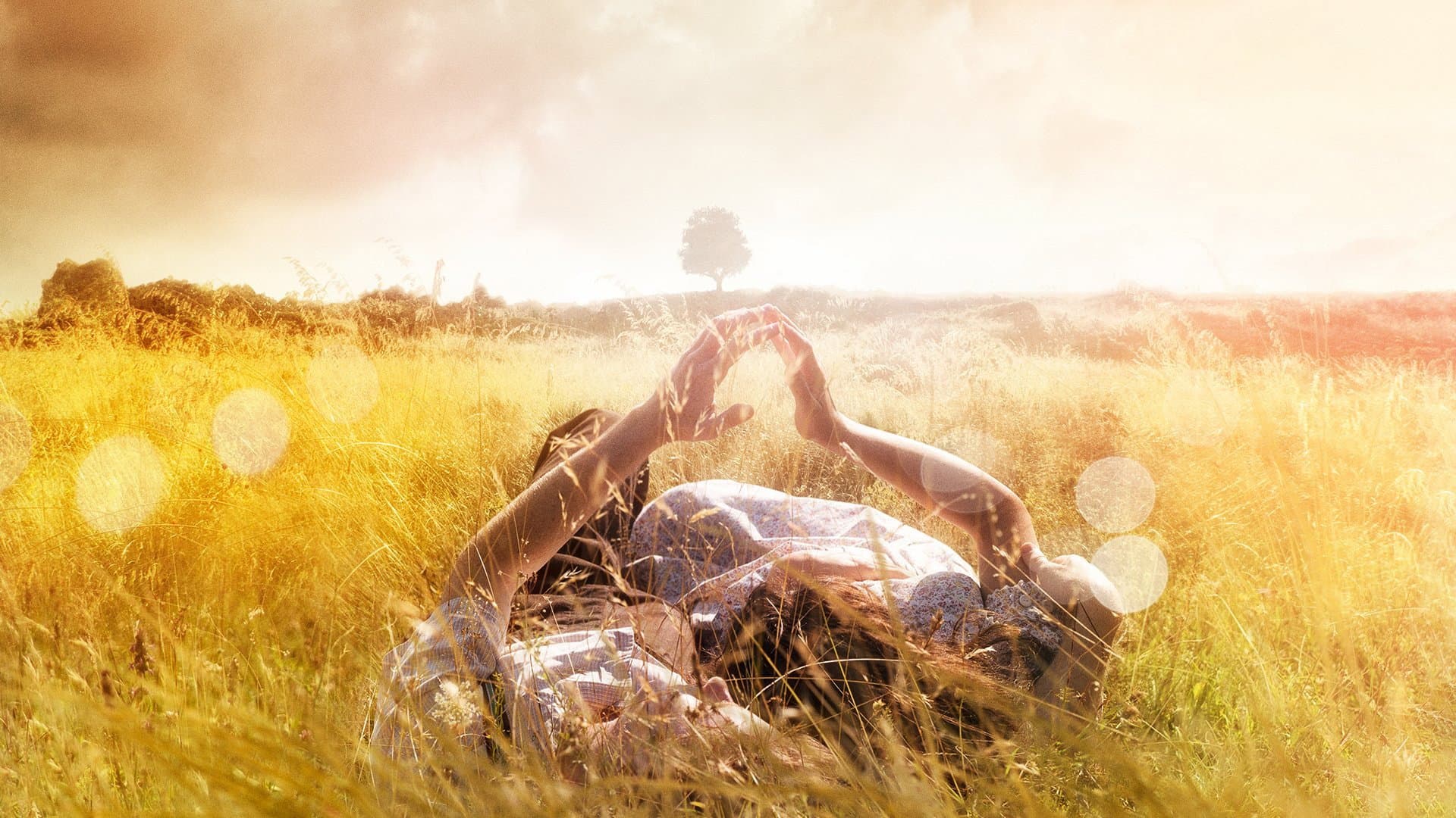 The History of Love