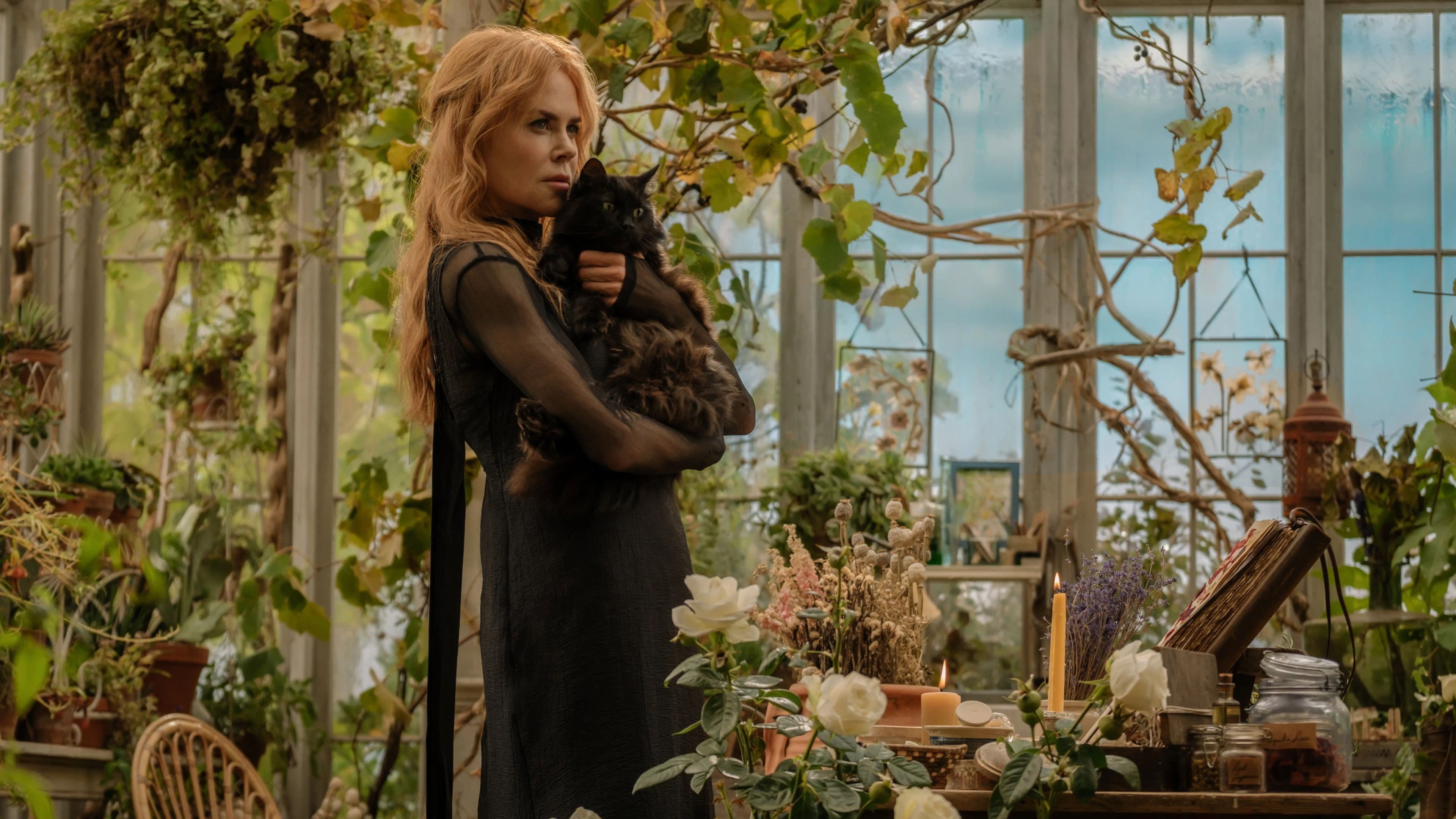 Practical Magic 2 (2026): Sequel News & Updates