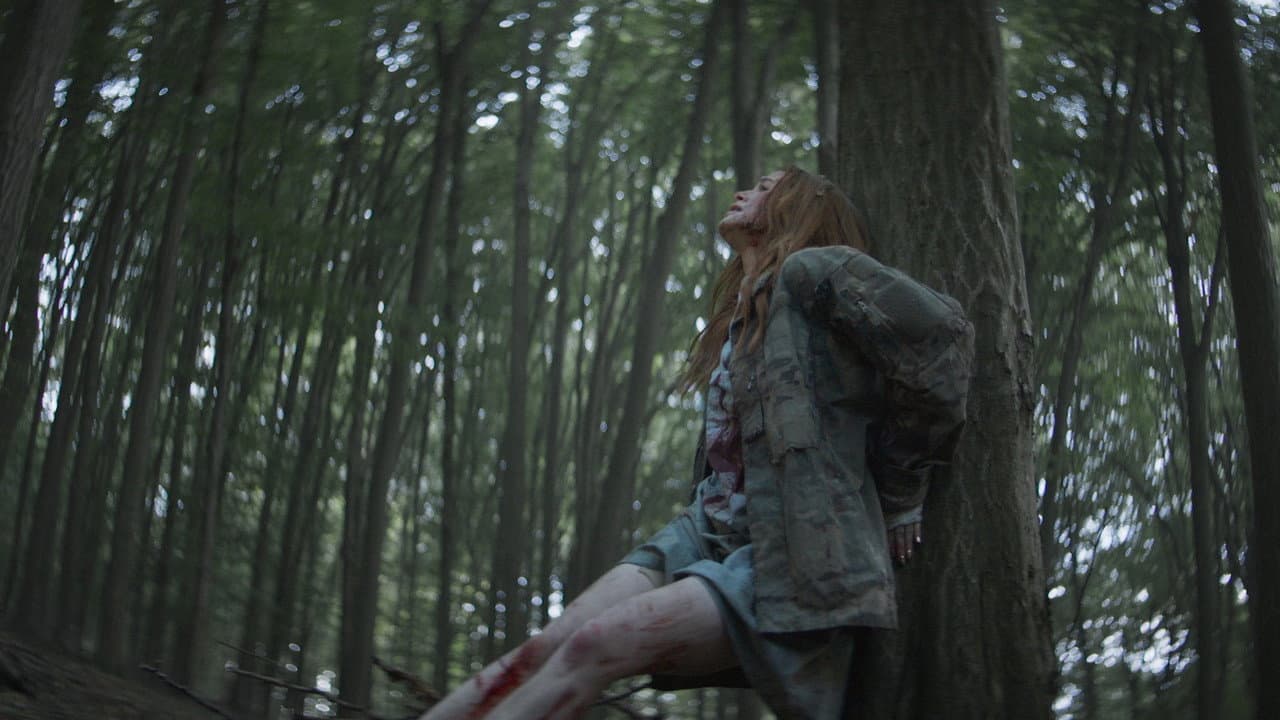The Strangers: Chapter 2 still 8