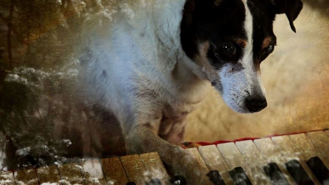 Heart of a Dog still 1