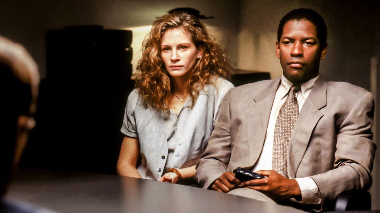 The Pelican Brief still 8