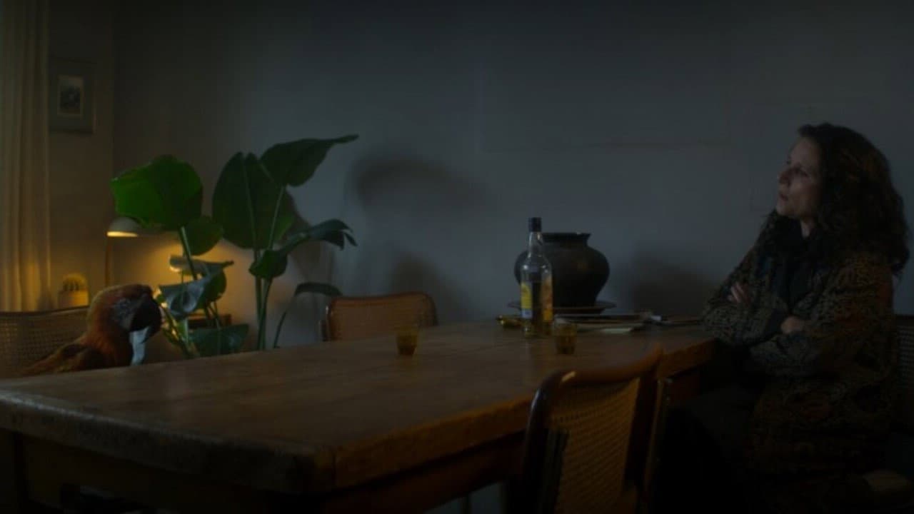 Tuesday still 8