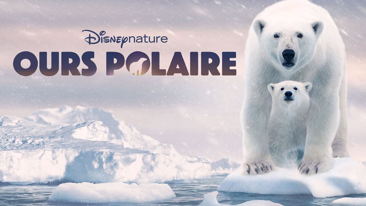 Polar Bear still 2