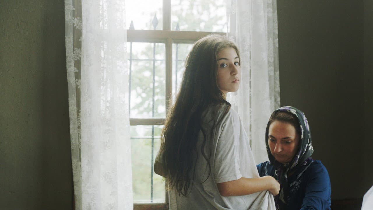 Mustang still 6