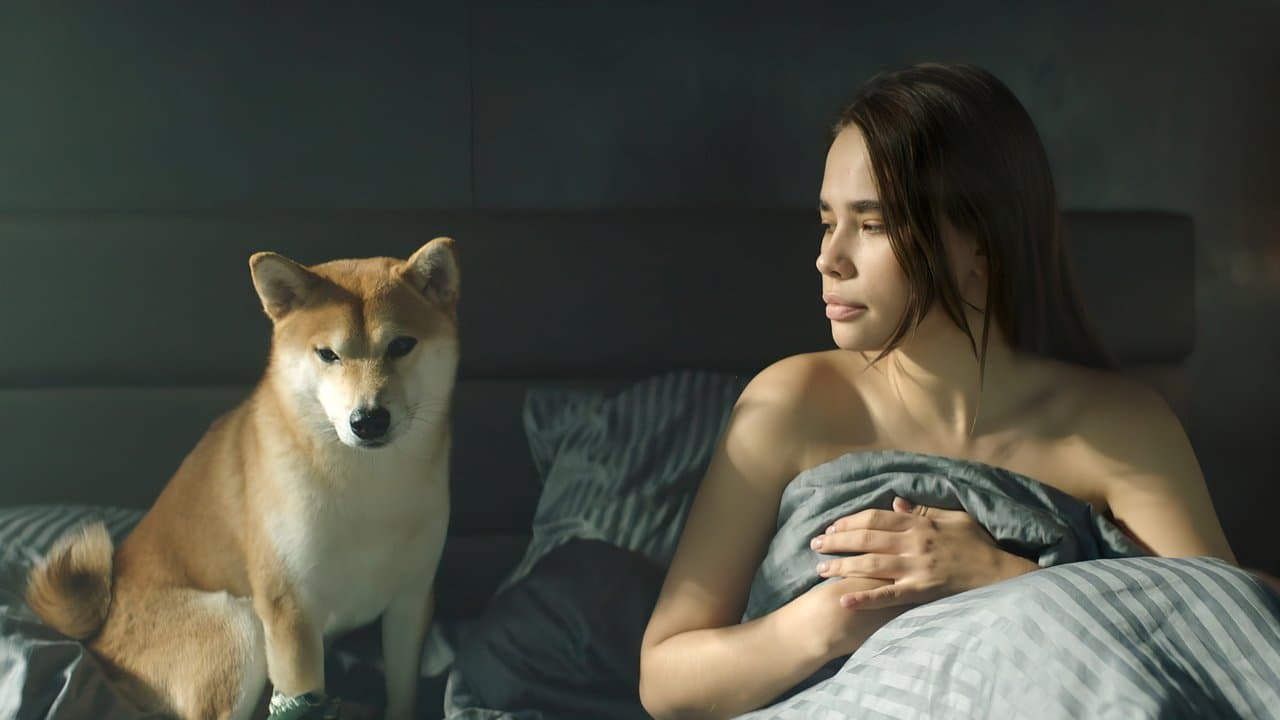 Naughty Movie: Latest News & Updates still 6