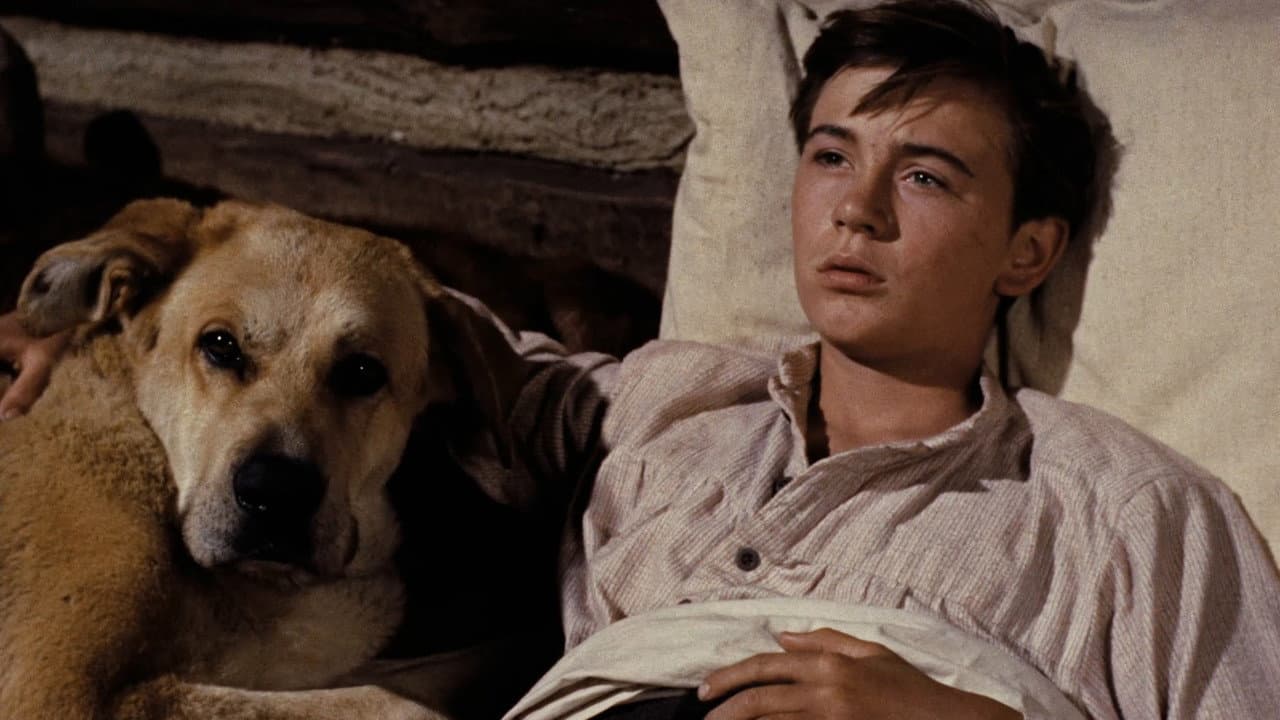 Old Yeller still 3