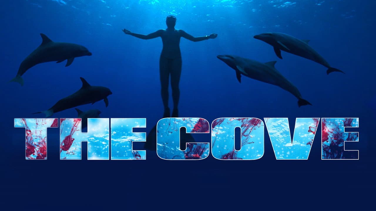 The Cove still 6