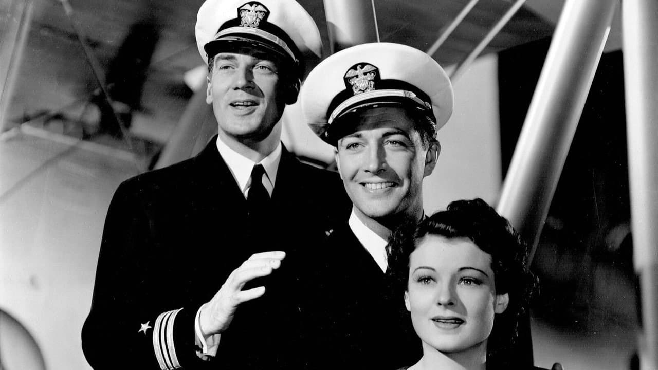 Flight Command still 3