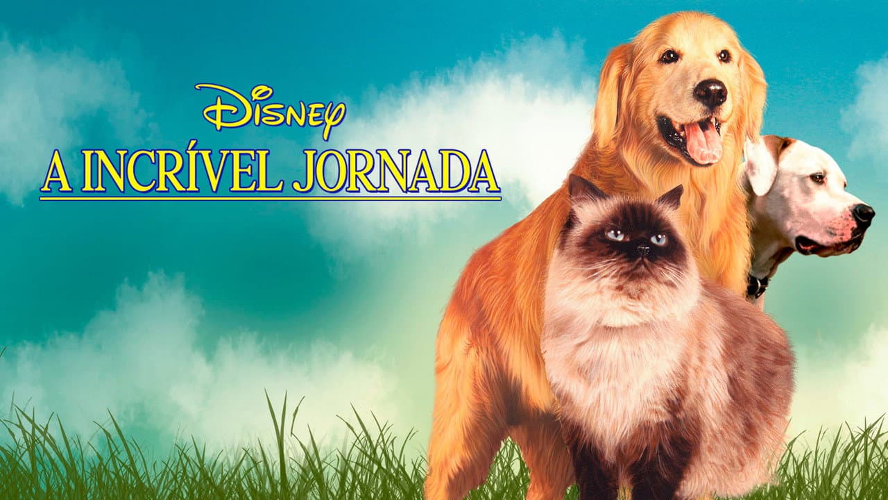 Homeward Bound: The Incredible Journey still 4