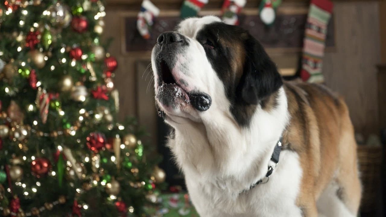 Beethoven's Christmas Adventure still 2