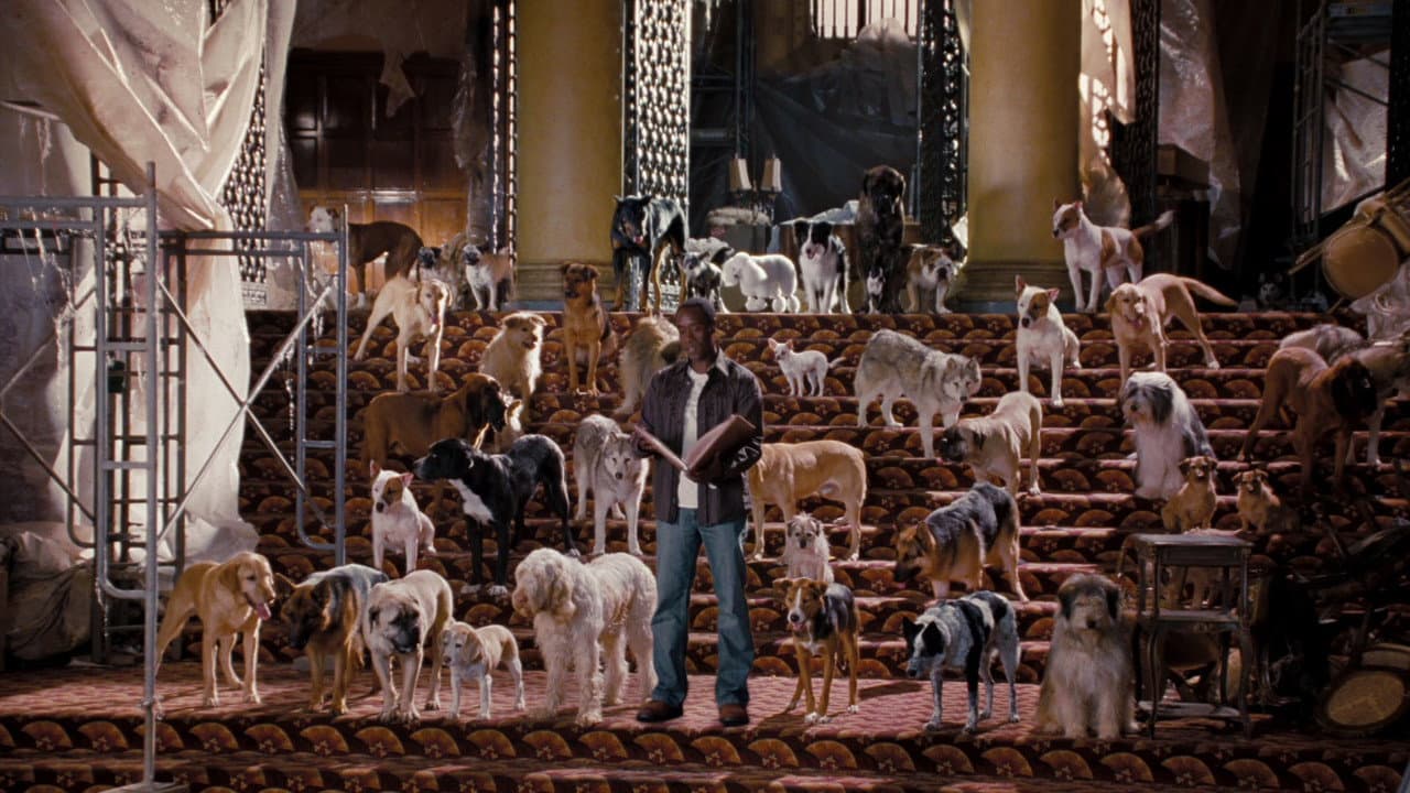 Hotel for Dogs still 7