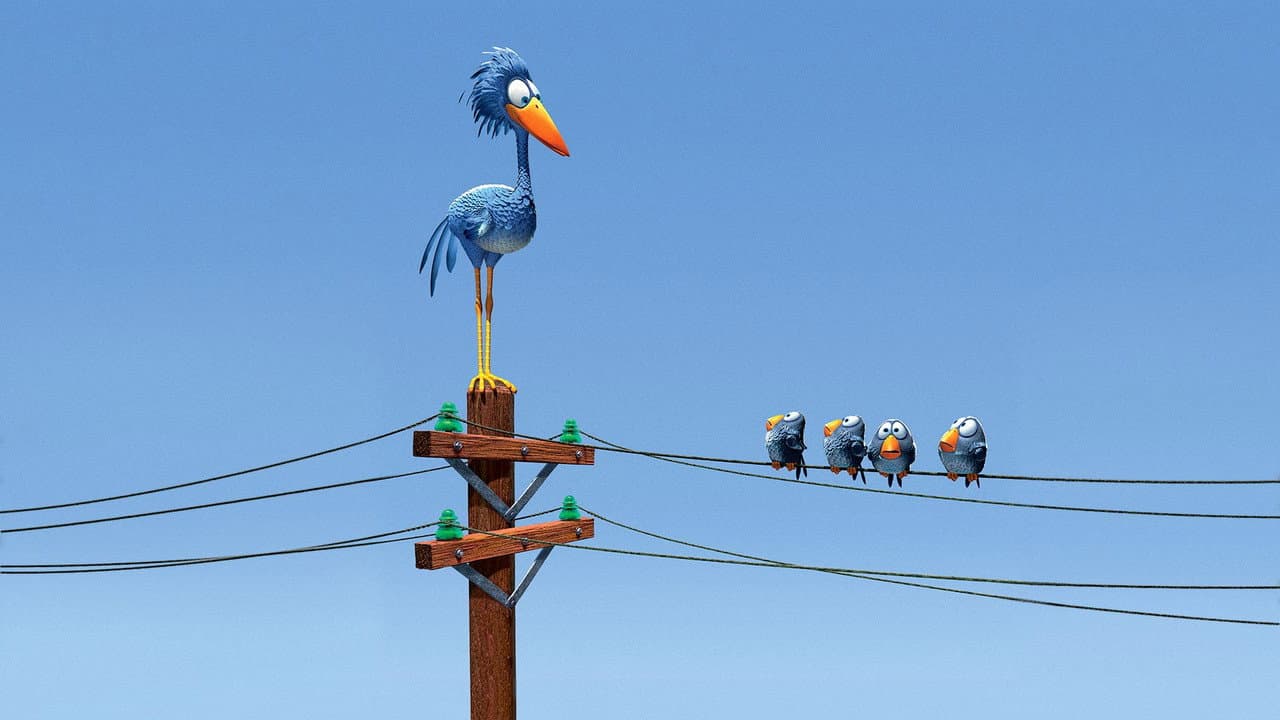 For the Birds still 3