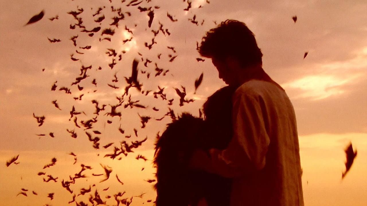 Picnic still 4