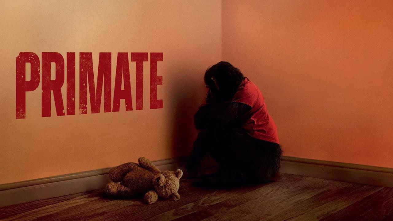 Primate still 8