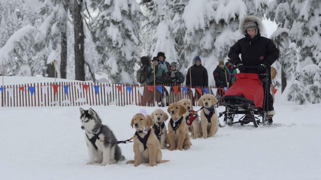 Snow Buddies still 8