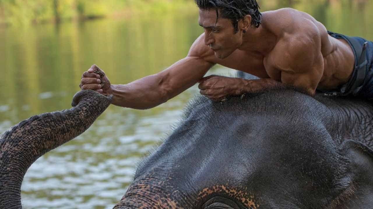 Junglee Movie News: Latest Updates & Reviews still 1