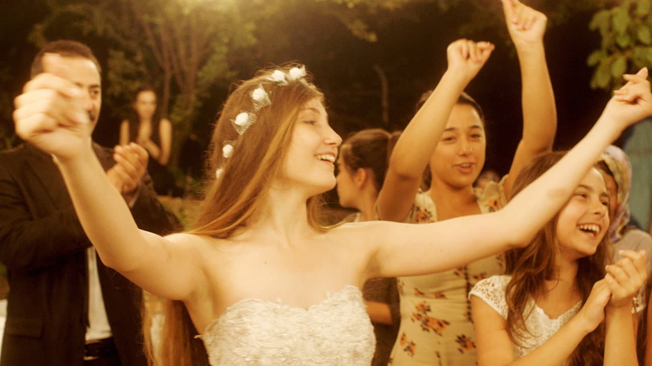 Mustang still 5
