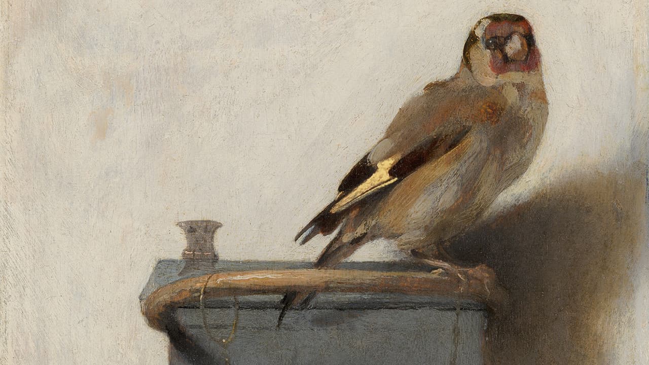 The Goldfinch still 8