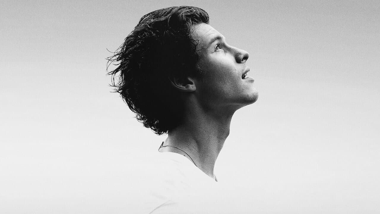 Shawn Mendes: In Wonder still 2