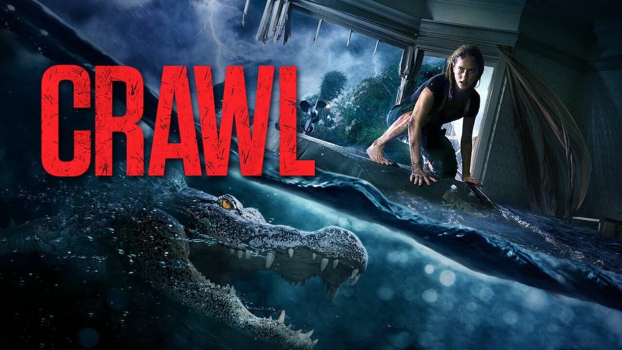 Crawl still 4