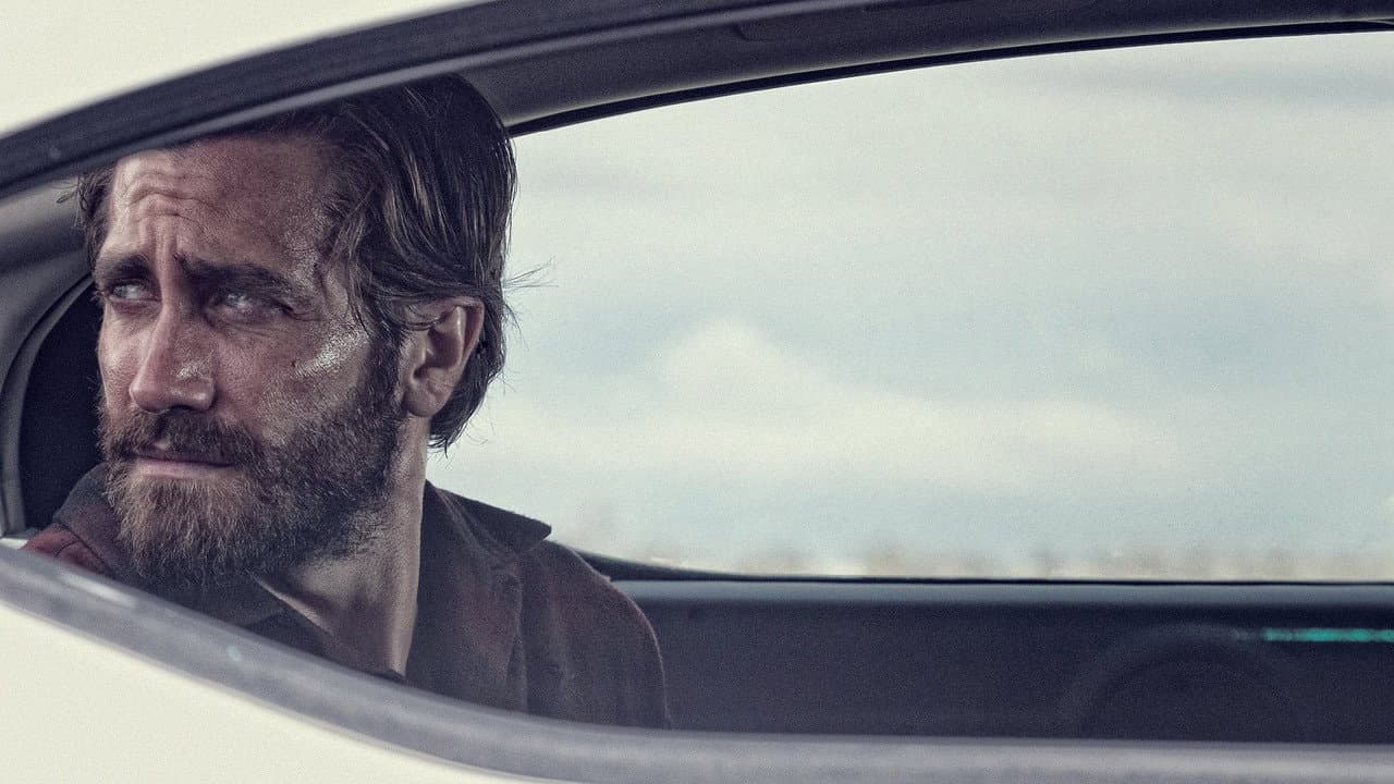 Nocturnal Animals still 7