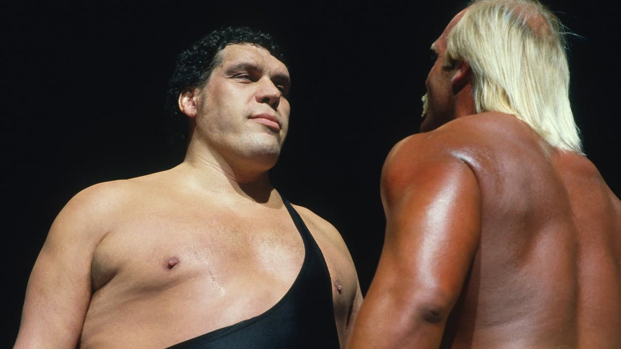 Andre the Giant still 3