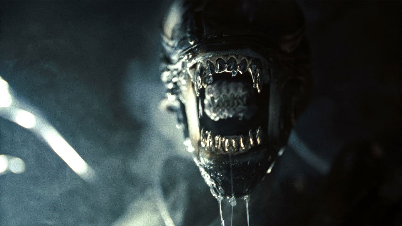 Alien: Romulus still 4