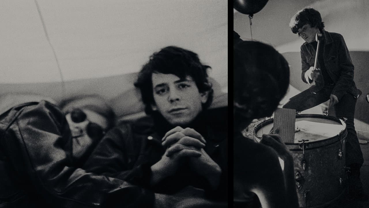 The Velvet Underground still 2