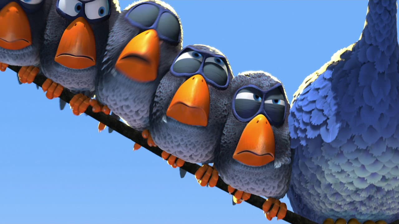 For the Birds still 8
