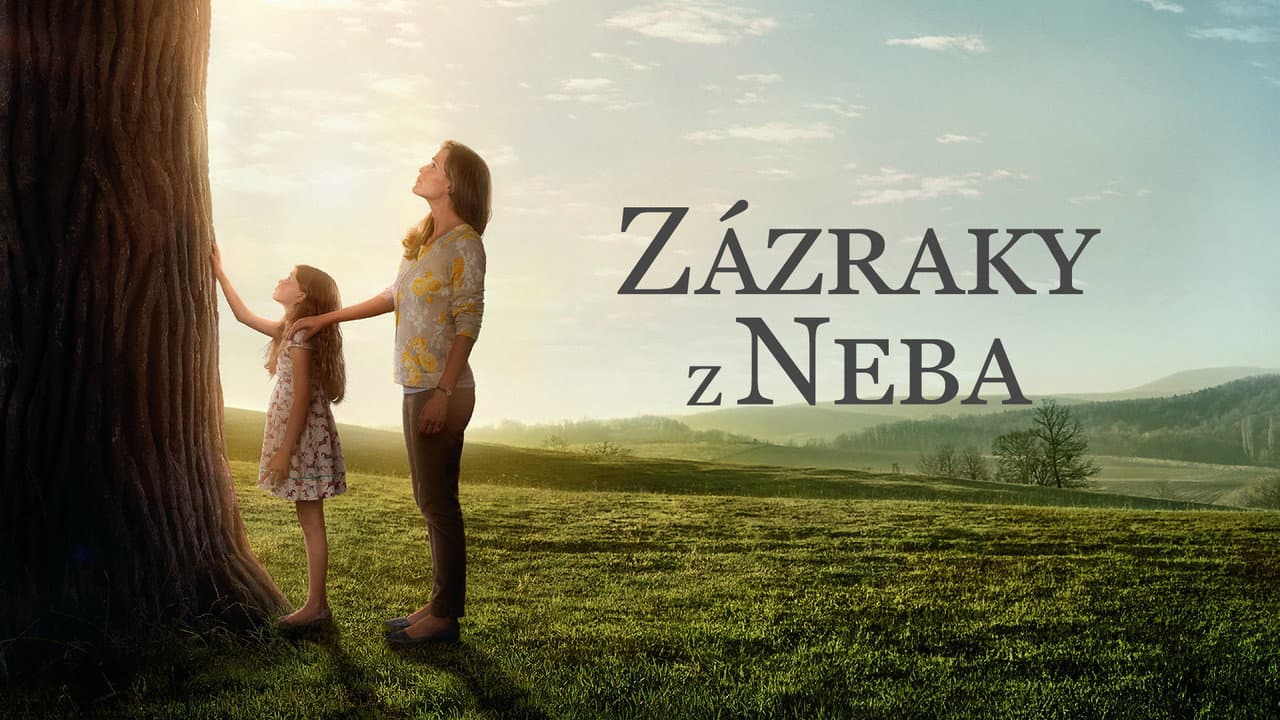 Miracles from Heaven still 2