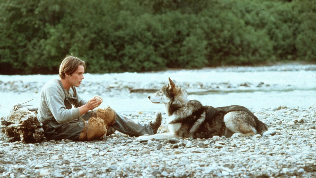 White Fang still 5