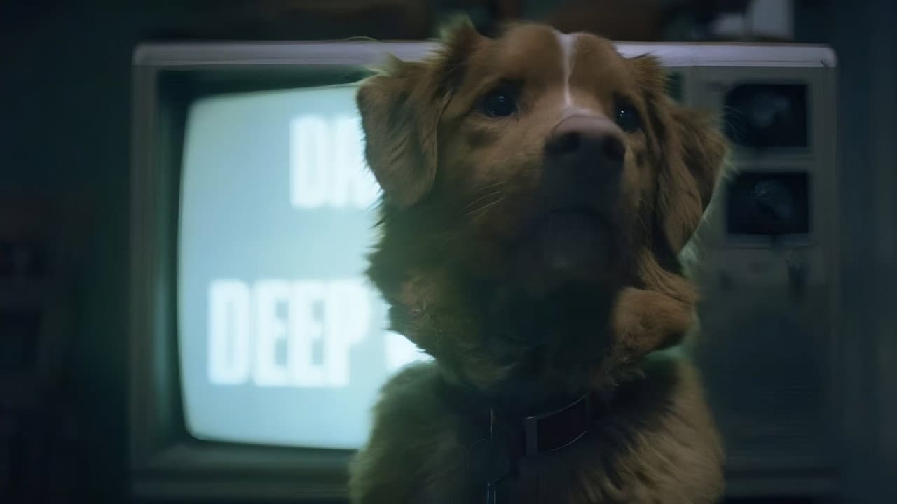 Good Boy still 8