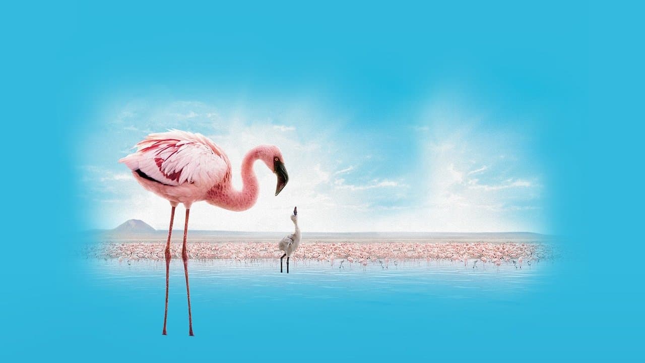 The Crimson Wing: Mystery of the Flamingos still 3