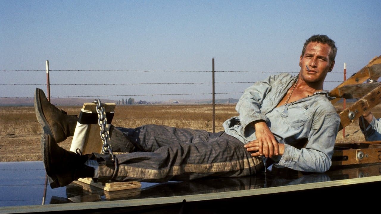 Cool Hand Luke still 2