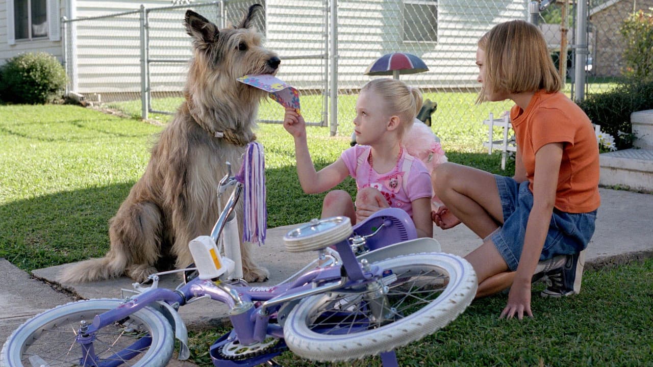 Because of Winn-Dixie still 8