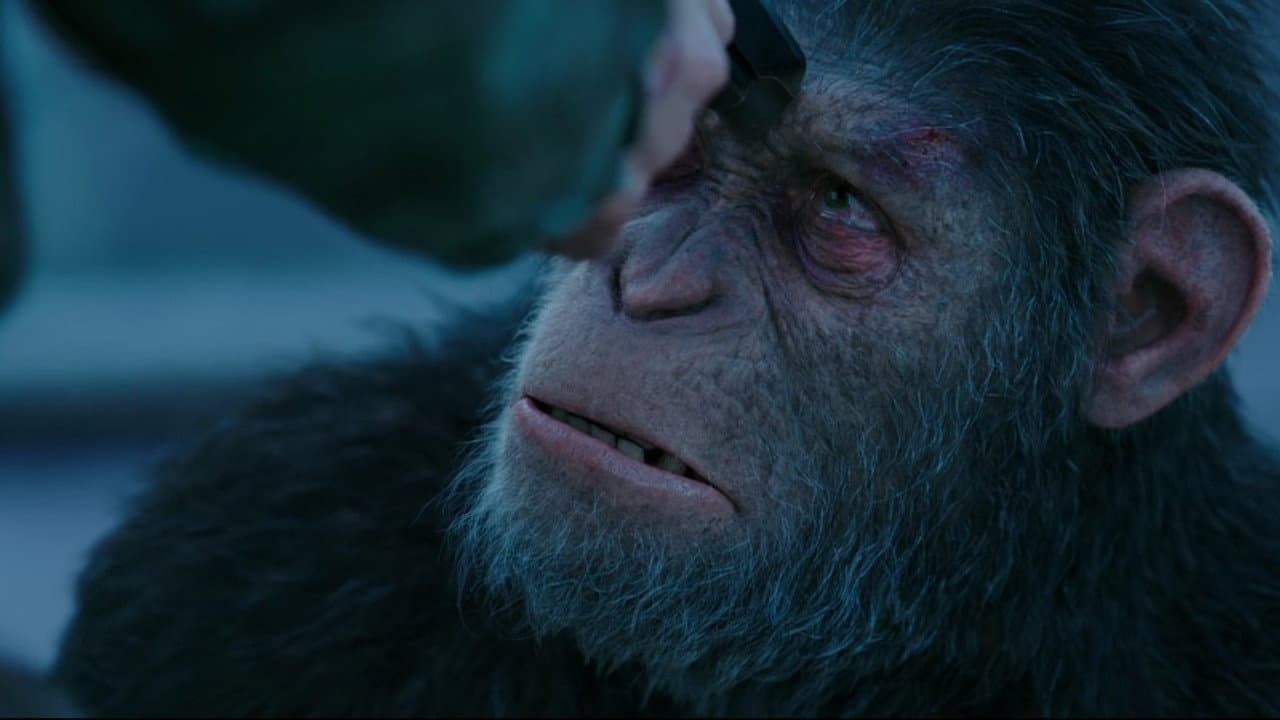 War for the Planet of the Apes still 8