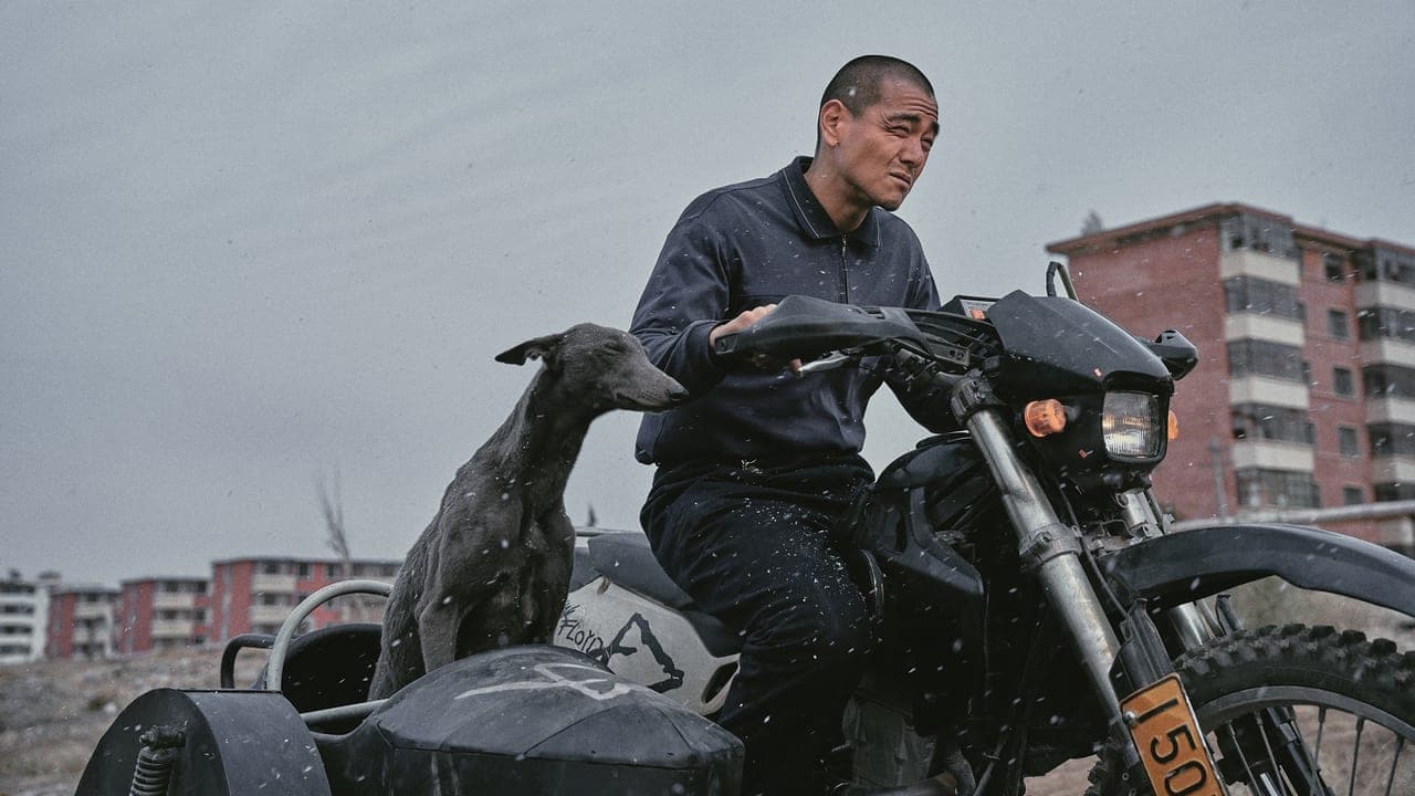 Black Dog still 2