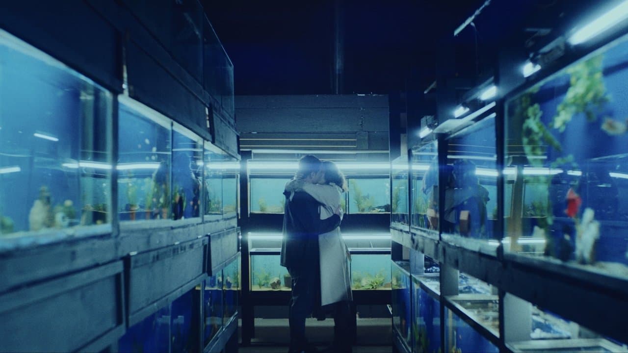 Little Fish still 5