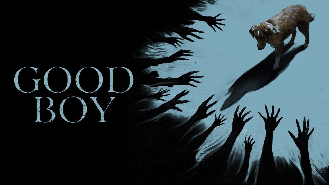 Good Boy still 4
