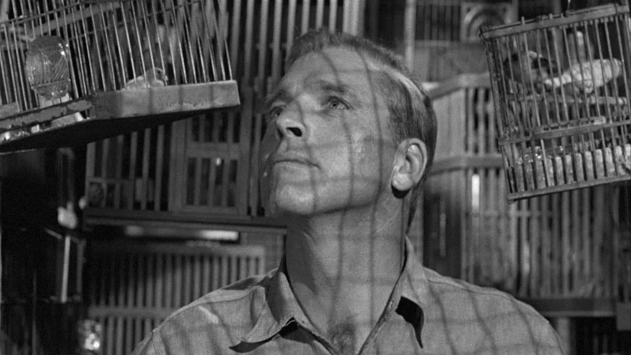 Birdman of Alcatraz still 7