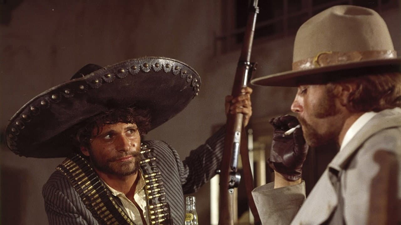 The Mercenary still 3