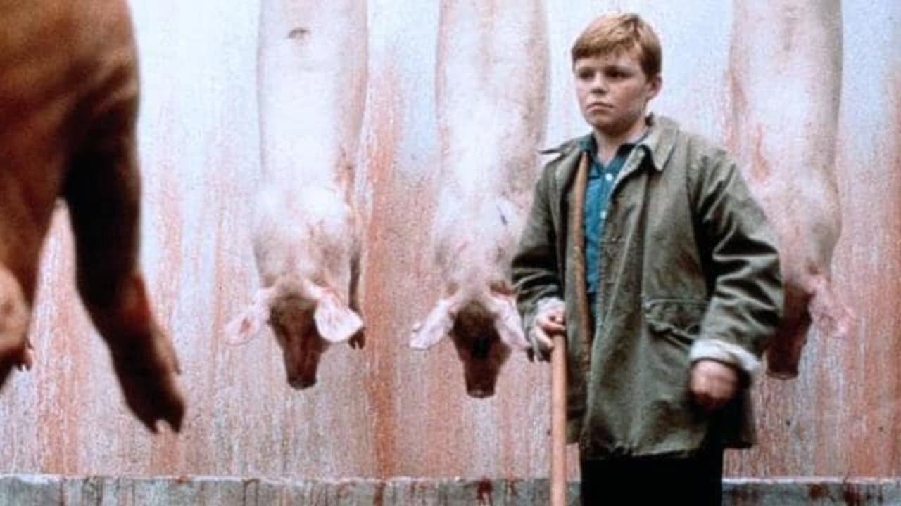 The Butcher Boy still 5
