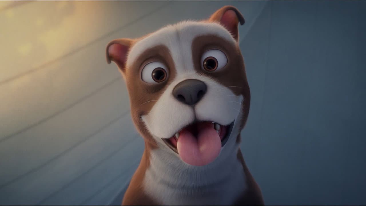 Sgt. Stubby: An American Hero still 5