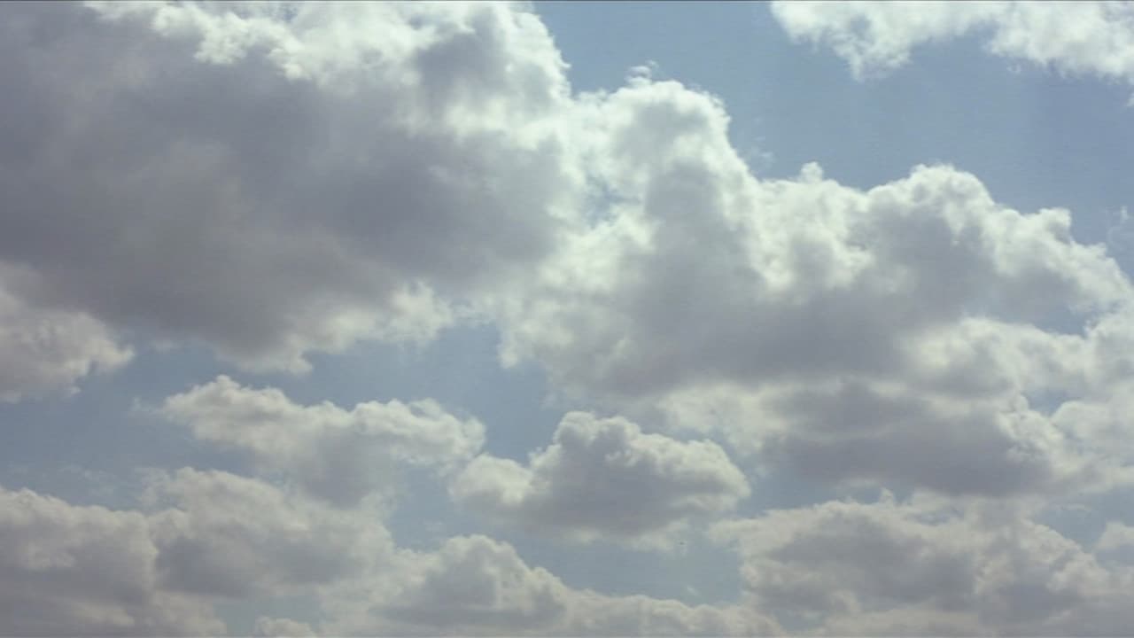 The Straight Story still 5