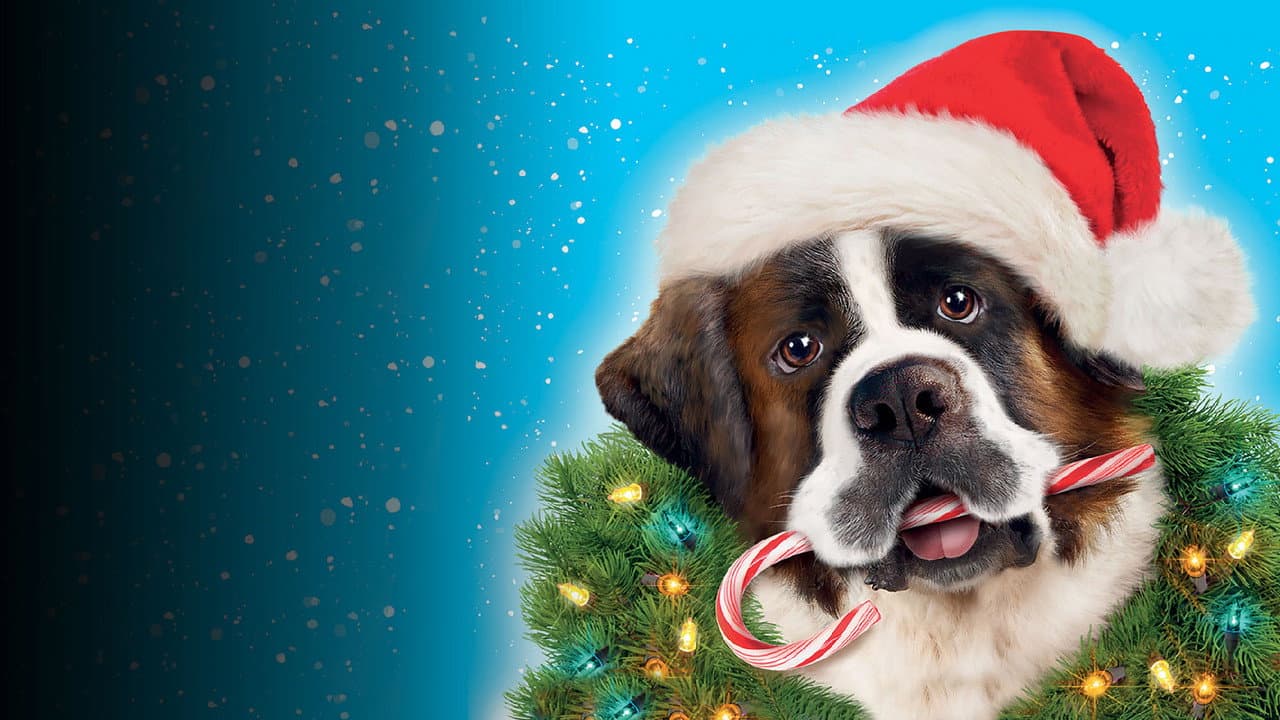Beethoven's Christmas Adventure still 8