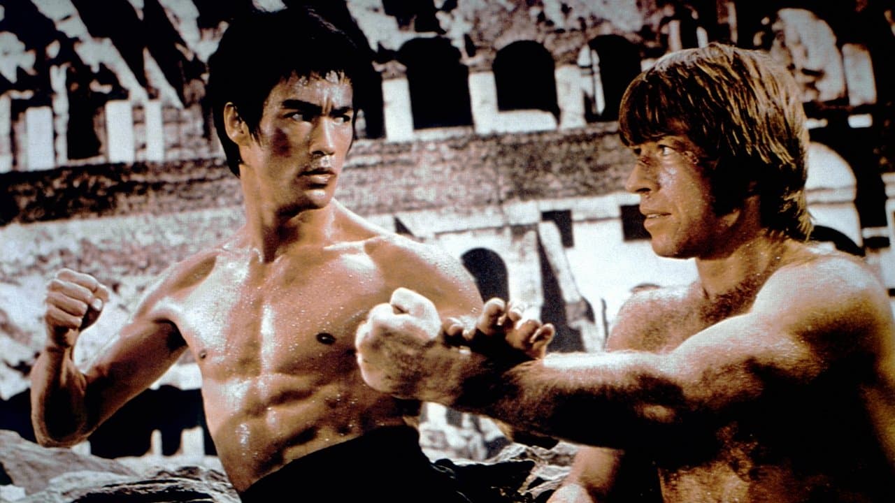 The Way of the Dragon still 6
