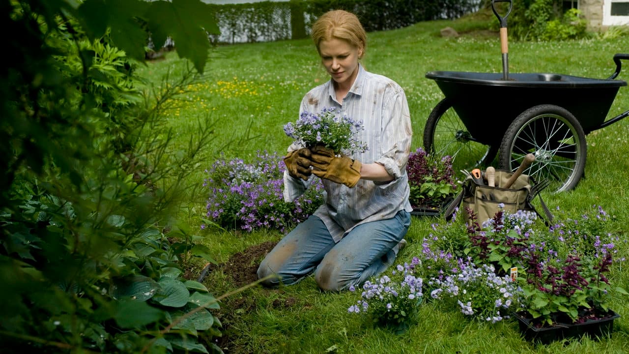 Rabbit Hole still 4