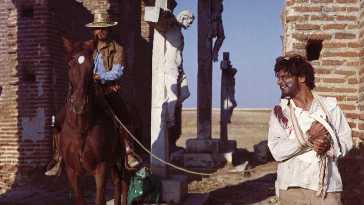 The Mercenary still 8
