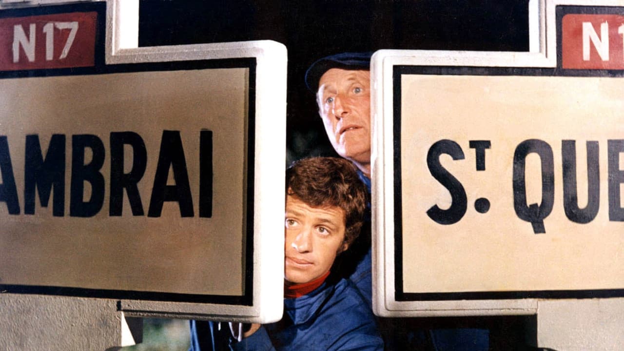 The Brain still 8